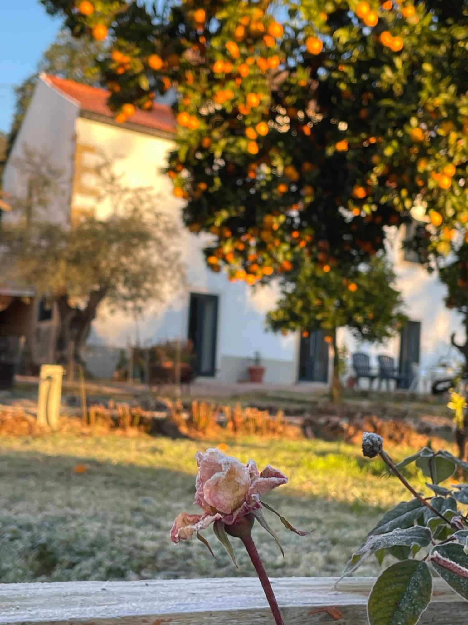 מלון טומאר Casa Do Prado מראה חיצוני תמונה