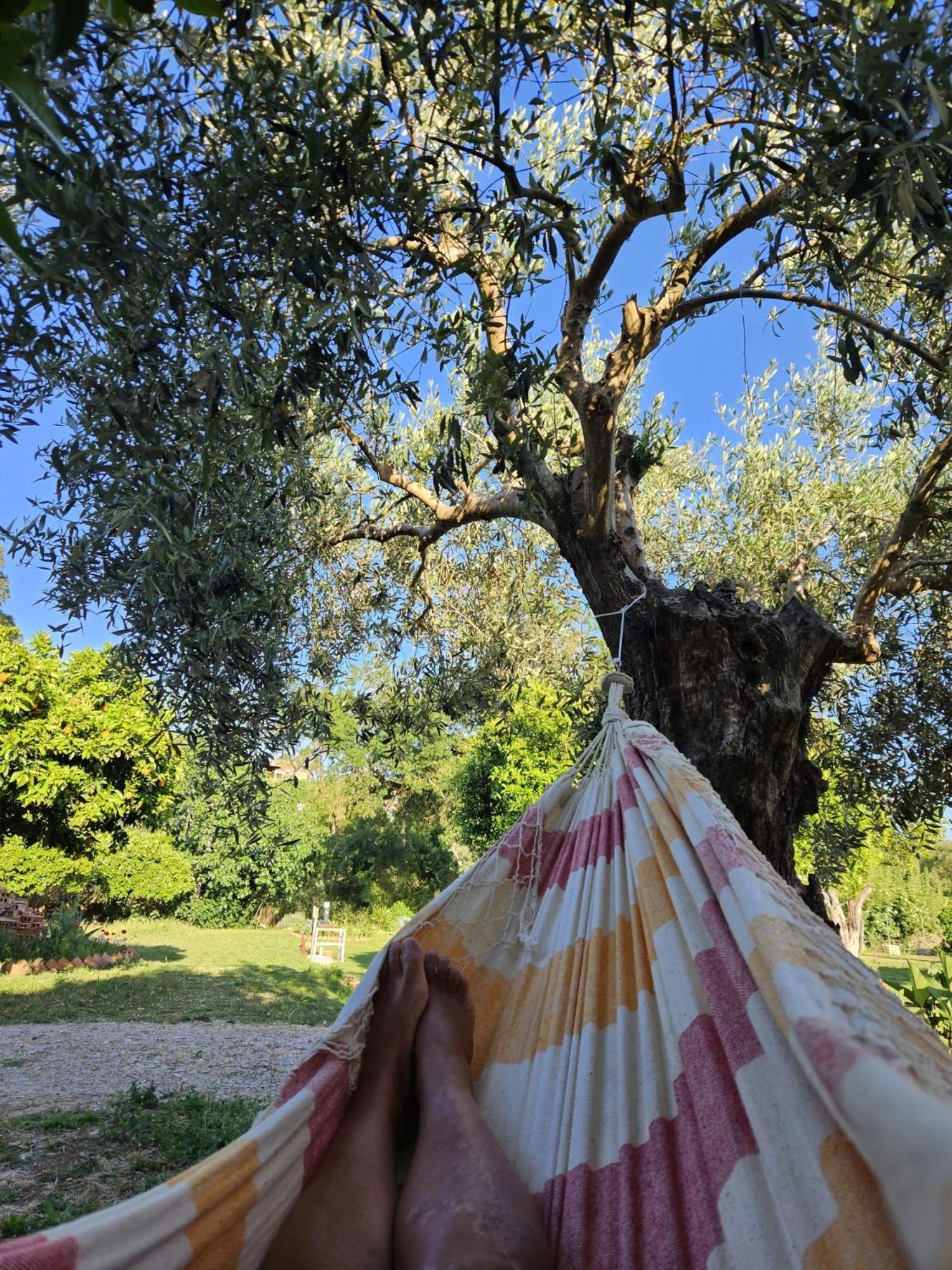 מלון טומאר Casa Do Prado מראה חיצוני תמונה